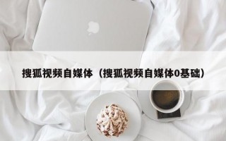 搜狐视频自媒体（搜狐视频自媒体0基础）