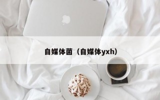 自媒体菌（自媒体yxh）