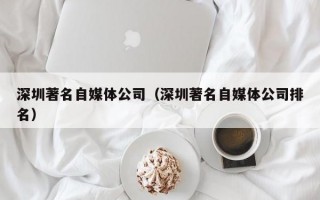 深圳著名自媒体公司（深圳著名自媒体公司排名）